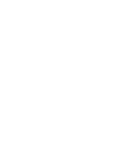 Unlimited Technical Support